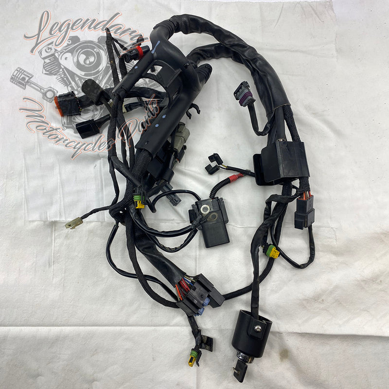 Feixe principal OEM 70139-06B