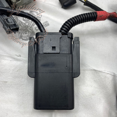 Feixe principal OEM 70139-06B