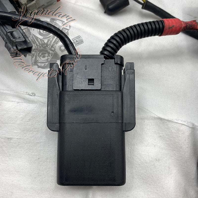 Feixe principal OEM 70139-06B