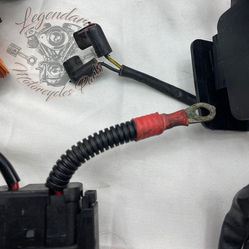 Feixe principal OEM 70139-06B