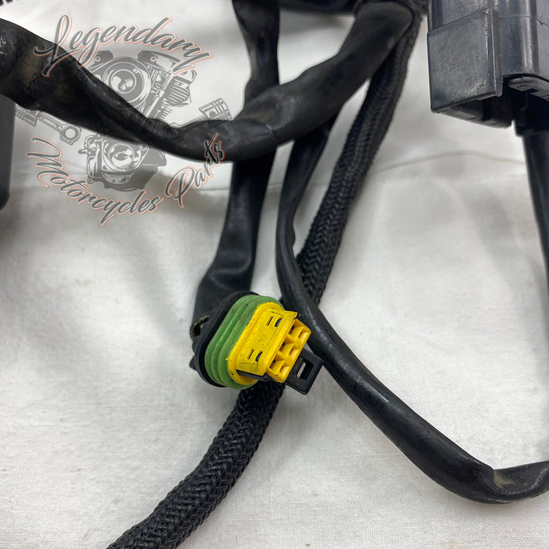 Feixe principal OEM 70139-06B