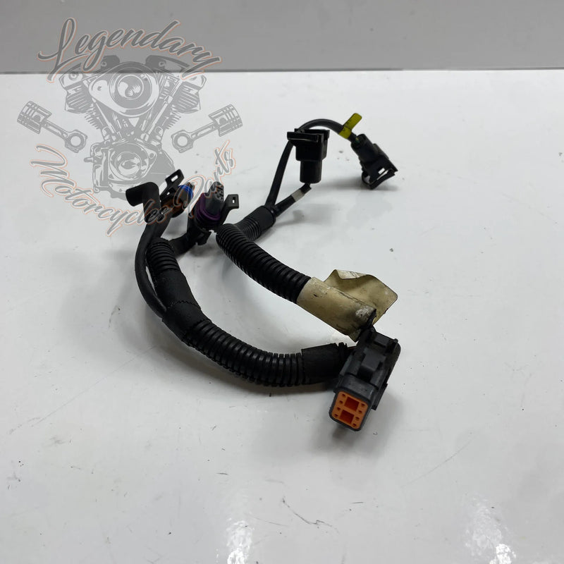 Faisceau Électrique OEM 70155-03