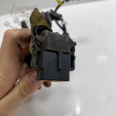 Faisceau Électrique OEM 70155-03