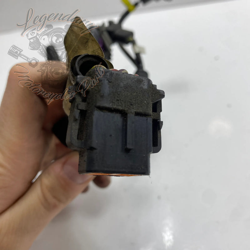 Faisceau Électrique OEM 70155-03