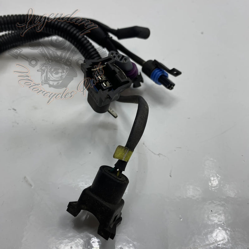 Faisceau Électrique OEM 70155-03