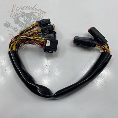 Fascio di cavi elettrici OEM 70164-06