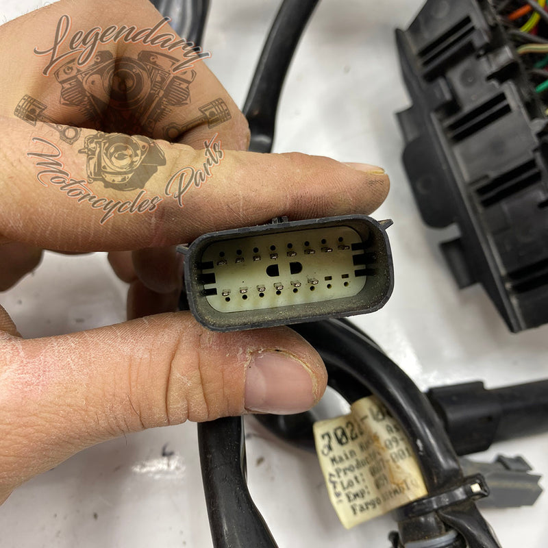 Glavni snop OEM 70225-08