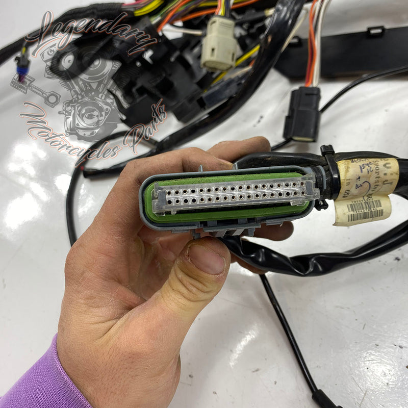 Glavni snop OEM 70225-08