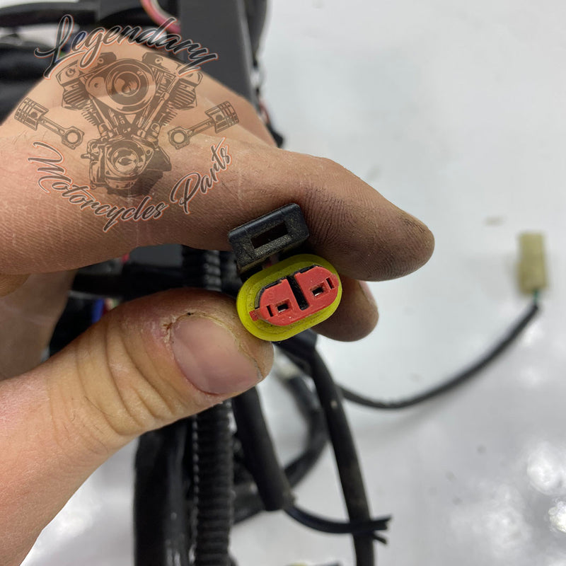 Glavni snop OEM 70225-08
