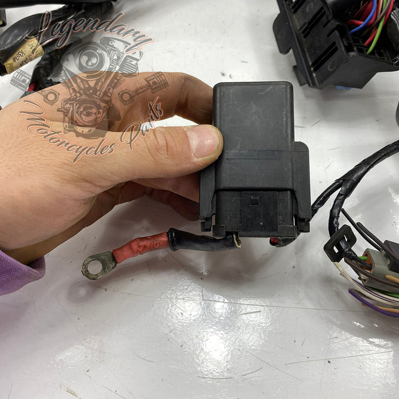 Glavni snop OEM 70225-08