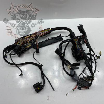 Main harness OEM 70225-08