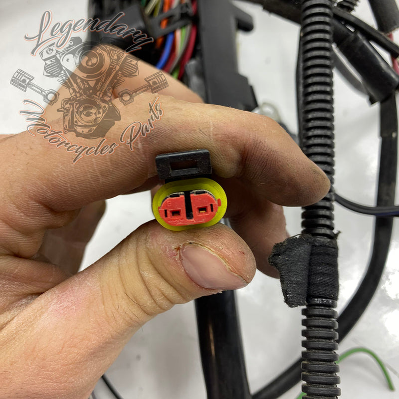 Glavni snop OEM 70225-08