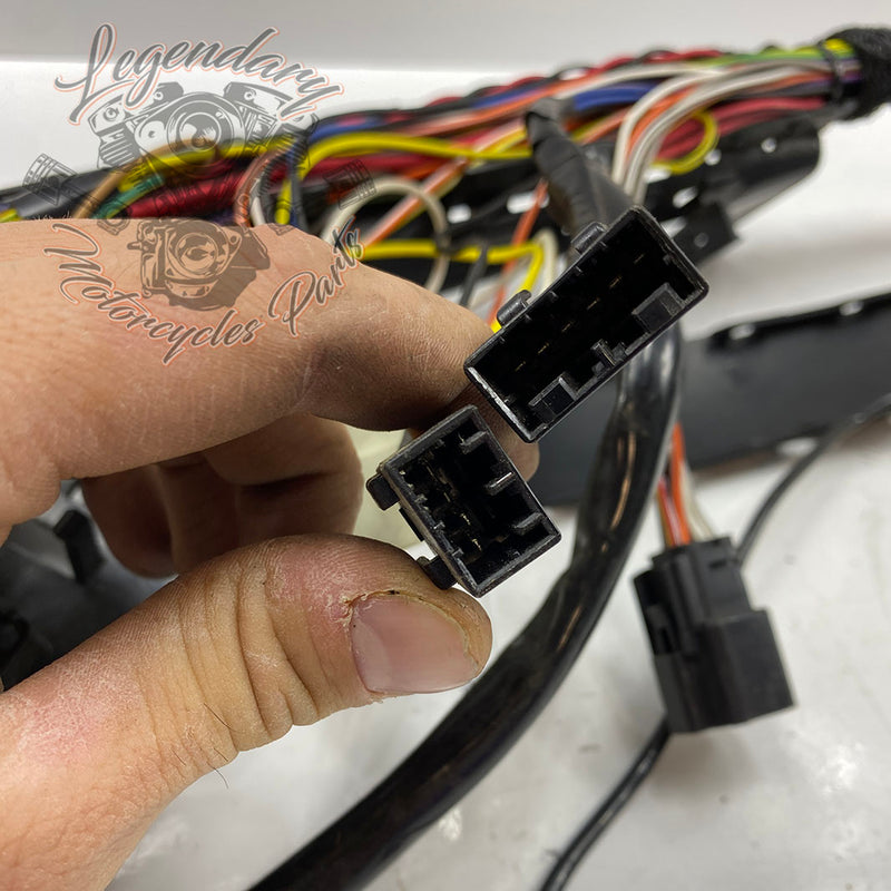 Main harness OEM 70225-08