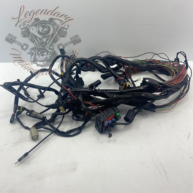 Main harness OEM 70232-08