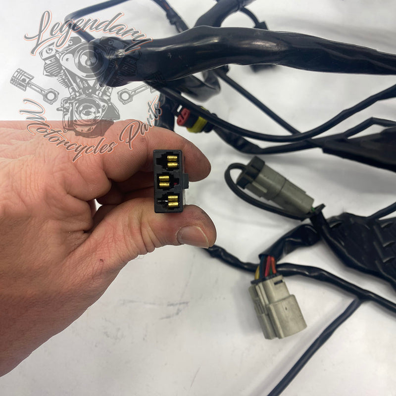 Main harness OEM 70232-08