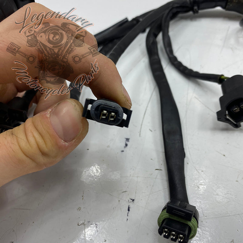 Einspritzsystem-Kabelbaum OEM 70238-95