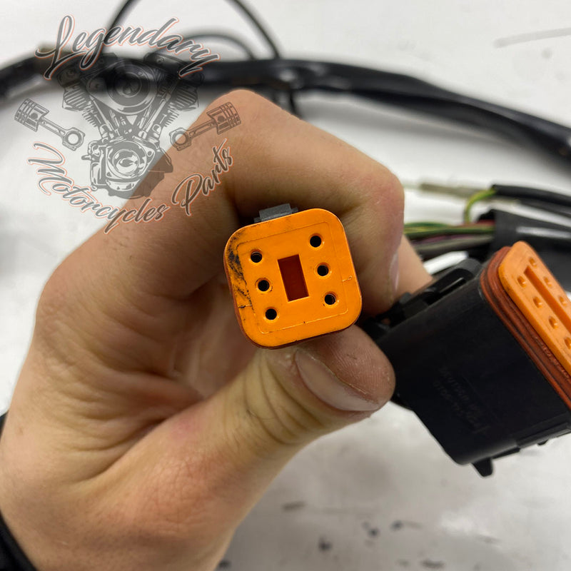 Einspritzsystem-Kabelbaum OEM 70238-95
