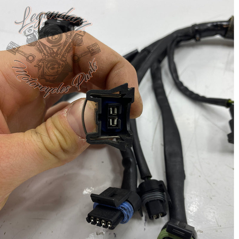 Einspritzsystem-Kabelbaum OEM 70238-95