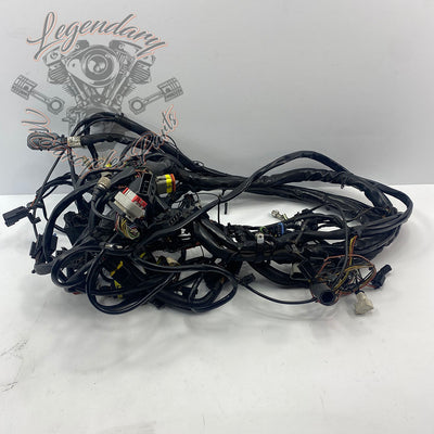 Main harness OEM 70985-03