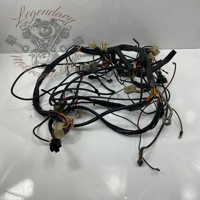 Complete harness OEM 70245-89A