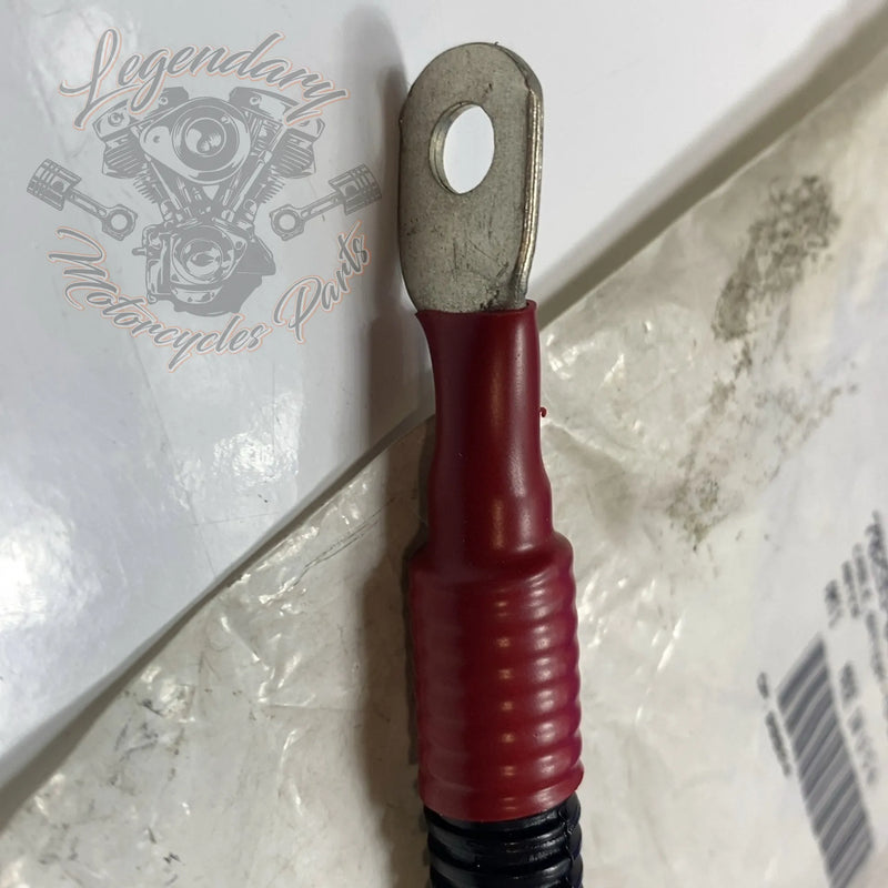 Câble de batterie OEM 70295-04A