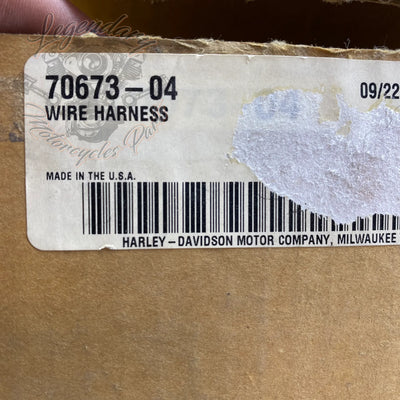 Feixe de luz de emergência dianteira LED OEM 70673-04