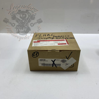 Dual Speedometer (MPH/KPH) OEM 70900169