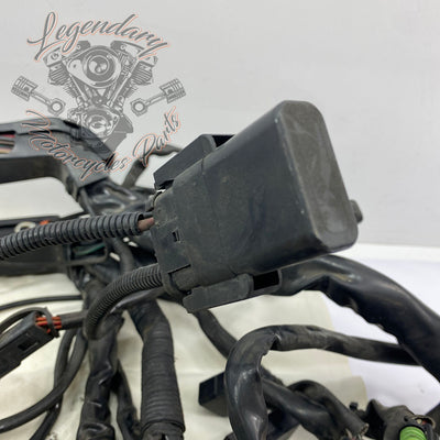 Hauptkabelbaum OEM 70985-07