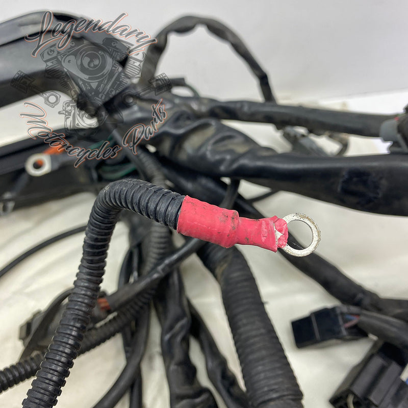 Main harness OEM 70985-07