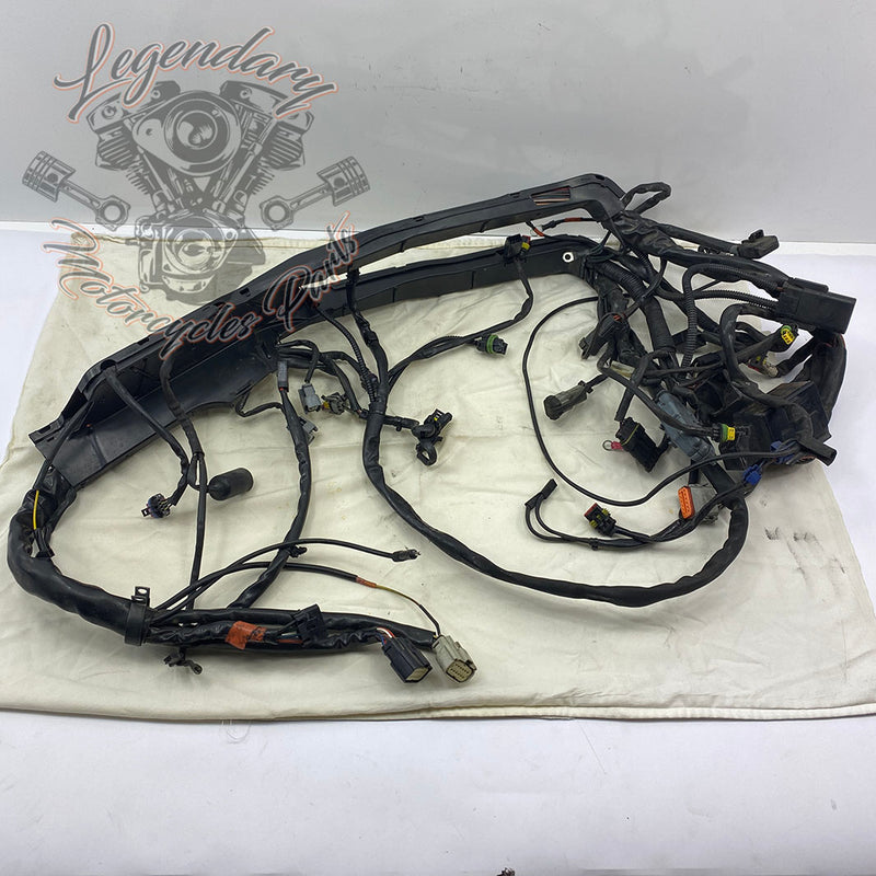 Main harness OEM 70985-07