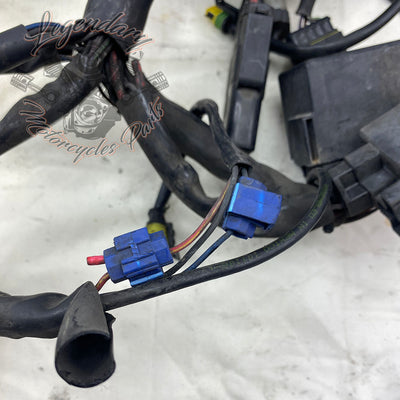 Main harness OEM 70985-07