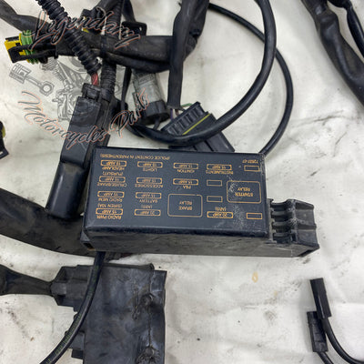 Main harness OEM 70985-07