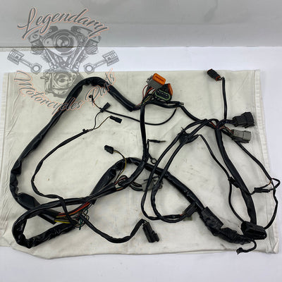 Main harness OEM 70985-94