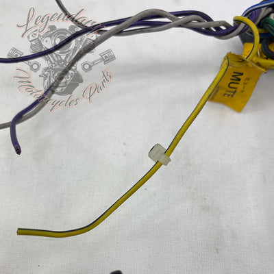 Main harness OEM 70985-94