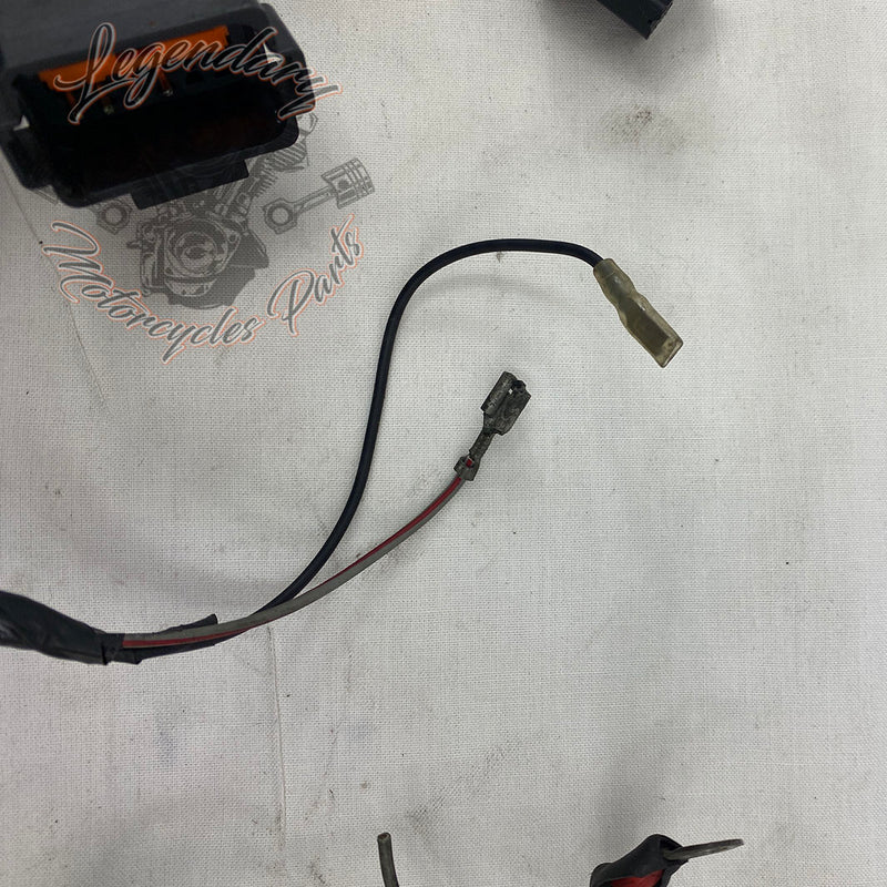 Main wiring harness OEM 70985-94
