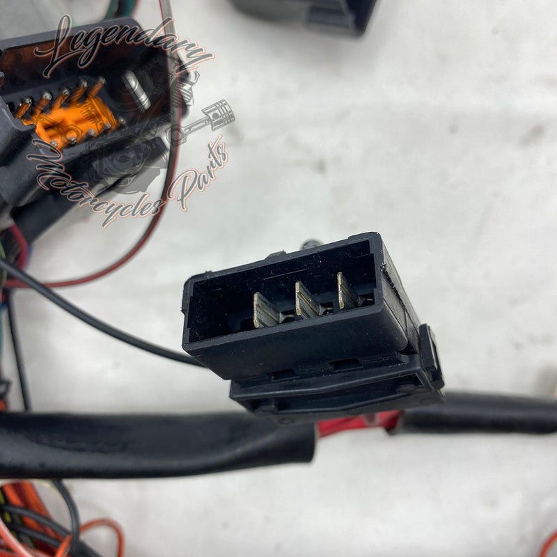 Main wiring harness OEM 70985-94