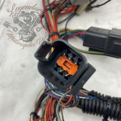 Main wiring harness OEM 70985-94