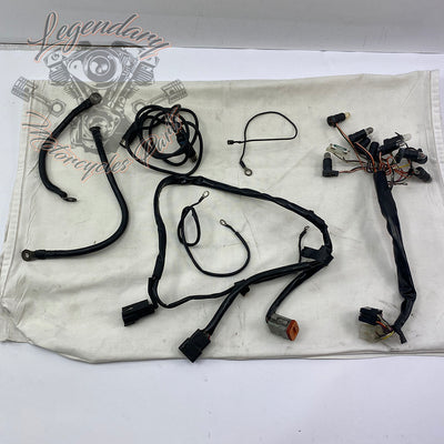 Main wiring harness OEM 70985-94
