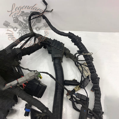 Main harness OEM 71075-12A