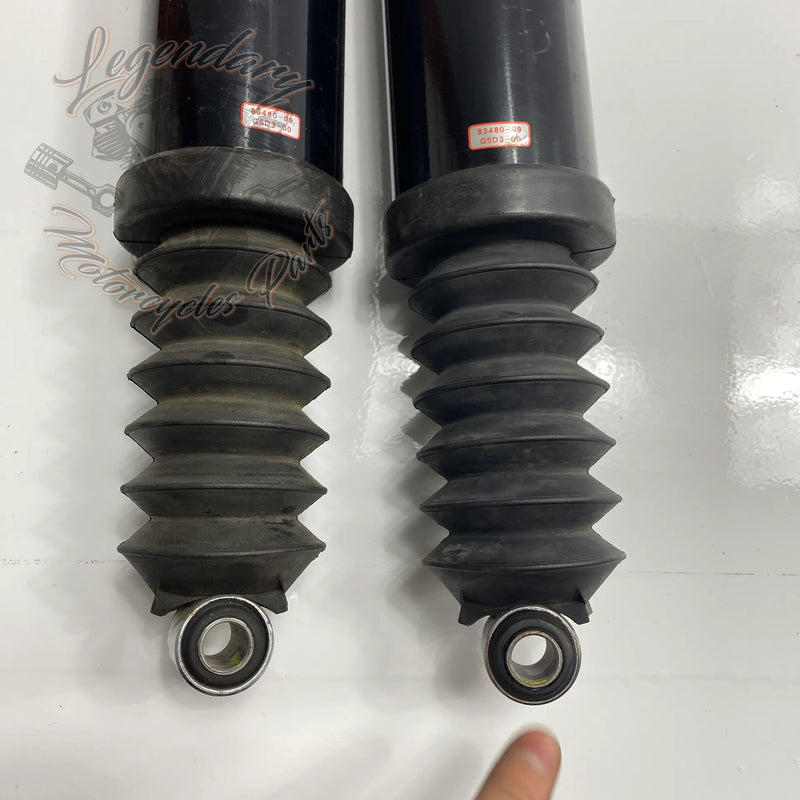 Ammortizzatori OEM 83480-09