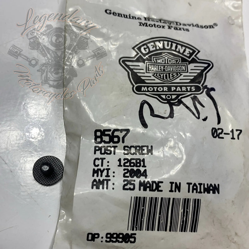 Tornillo de plástico 