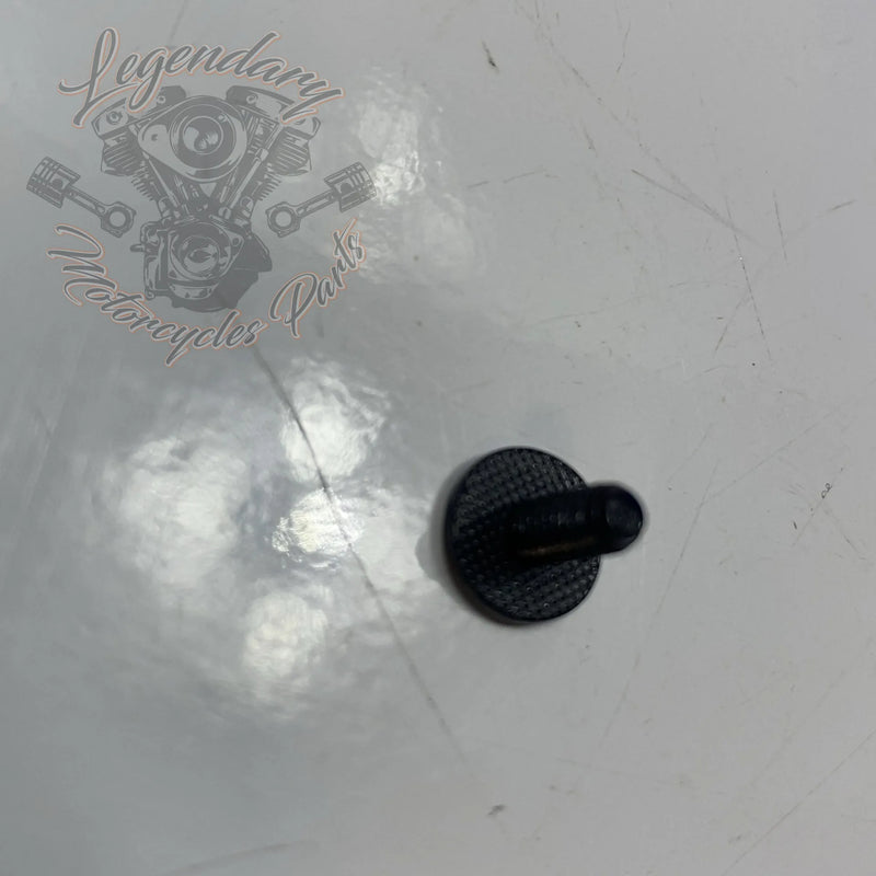 Tornillo de plástico 