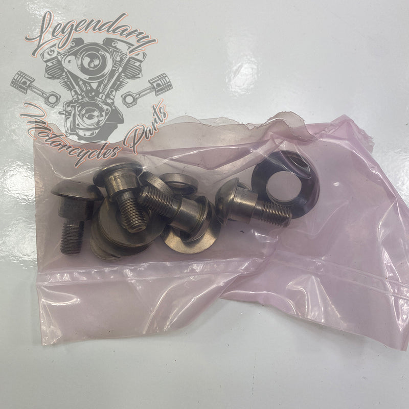 Detachable Windscreen OEM 58063-04