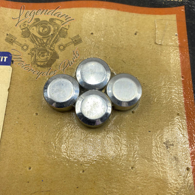 Bouten 5/16" afdekken OEM 94285-03
