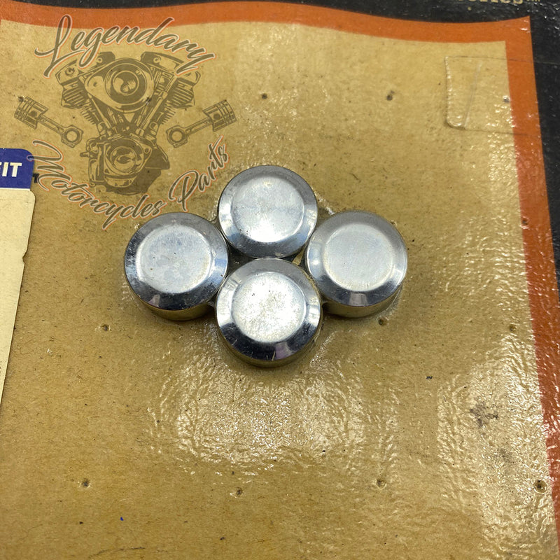 Bouten 5/16" afdekken OEM 94285-03
