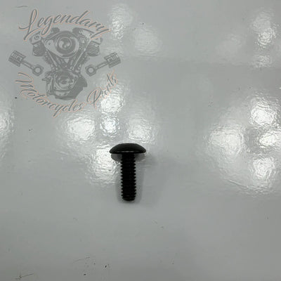 Schraube 1/4-20X3/4 Ref AA0406.11CVB