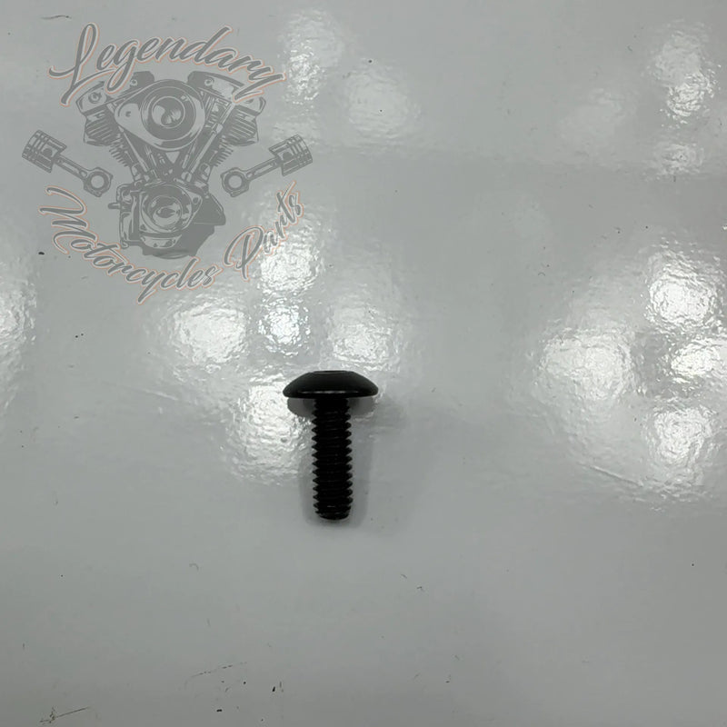 Schraube 1/4-20X3/4 Ref AA0406.11CVB