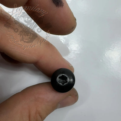 Schraube 1/4-20X3/4 Ref AA0406.11CVB