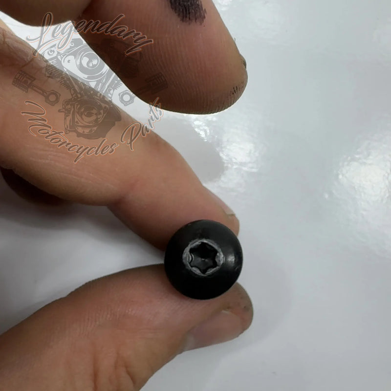 Schraube 1/4-20X3/4 Ref AA0406.11CVB