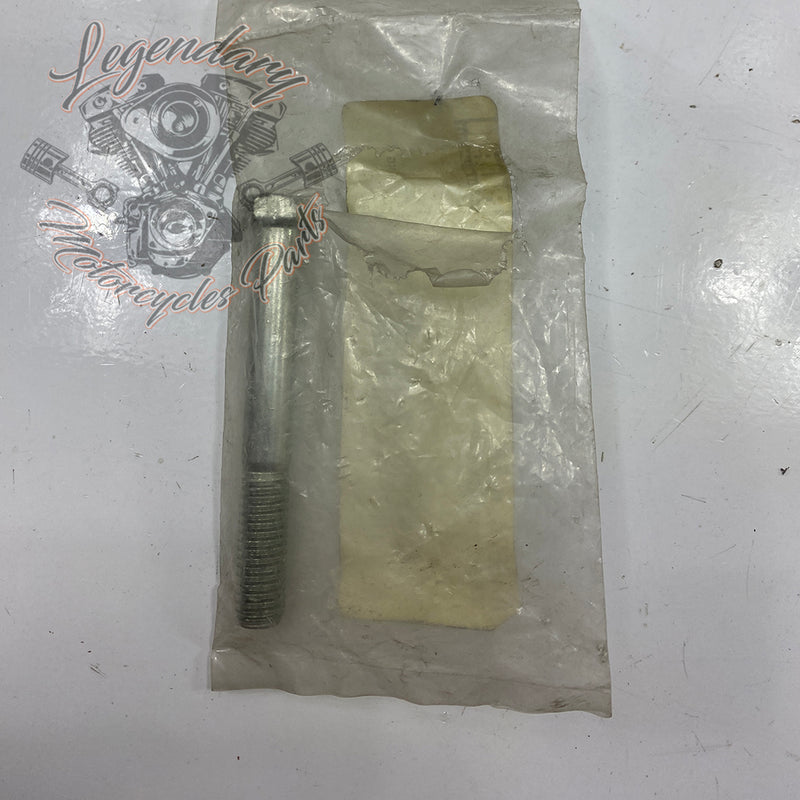 Silencer Screw OEM AA0624.1CZB